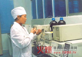 泓天威药业技术开发体系综述